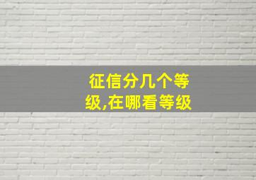 征信分几个等级,在哪看等级