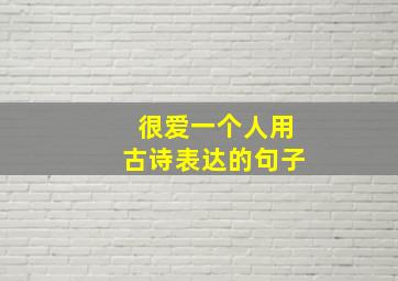 很爱一个人用古诗表达的句子