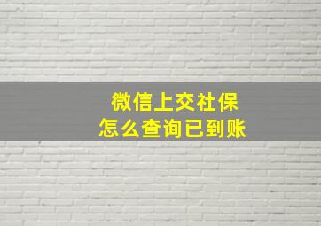 微信上交社保怎么查询已到账