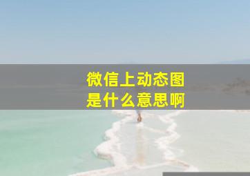 微信上动态图是什么意思啊