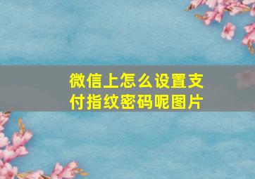 微信上怎么设置支付指纹密码呢图片