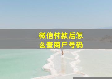 微信付款后怎么查商户号码