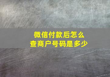 微信付款后怎么查商户号码是多少