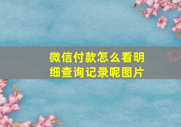 微信付款怎么看明细查询记录呢图片