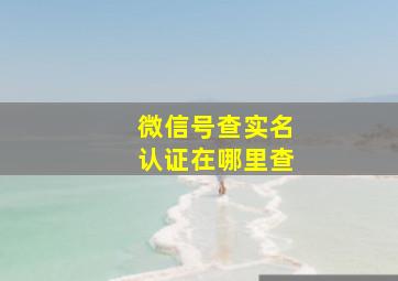 微信号查实名认证在哪里查