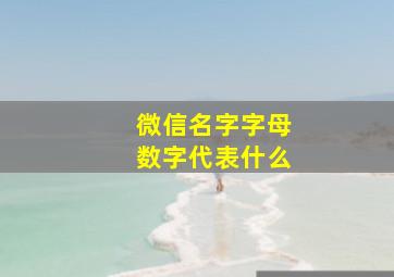 微信名字字母数字代表什么