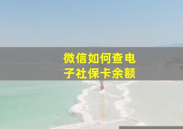 微信如何查电子社保卡余额