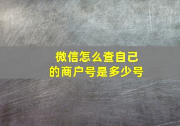 微信怎么查自己的商户号是多少号