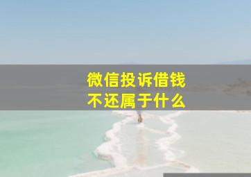 微信投诉借钱不还属于什么