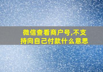 微信查看商户号,不支持向自己付款什么意思