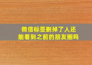 微信标签删掉了人还能看到之前的朋友圈吗