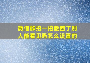 微信群拍一拍撤回了别人能看见吗怎么设置的