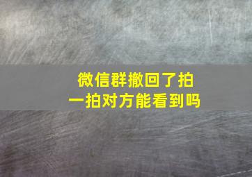 微信群撤回了拍一拍对方能看到吗