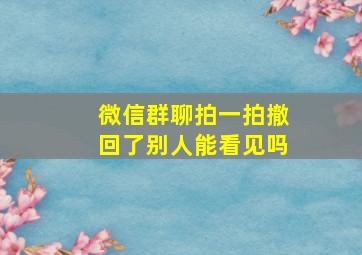 微信群聊拍一拍撤回了别人能看见吗