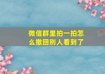 微信群里拍一拍怎么撤回别人看到了