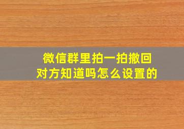 微信群里拍一拍撤回对方知道吗怎么设置的