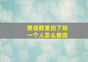 微信群里拍了拍一个人怎么撤回