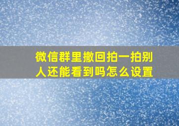 微信群里撤回拍一拍别人还能看到吗怎么设置