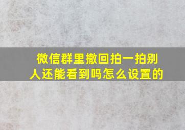 微信群里撤回拍一拍别人还能看到吗怎么设置的