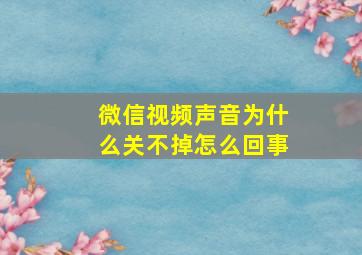 微信视频声音为什么关不掉怎么回事