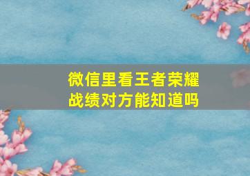 微信里看王者荣耀战绩对方能知道吗