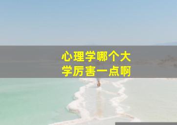 心理学哪个大学厉害一点啊