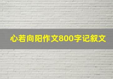 心若向阳作文800字记叙文