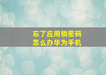 忘了应用锁密码怎么办华为手机