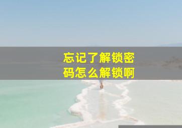 忘记了解锁密码怎么解锁啊