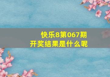 快乐8第067期开奖结果是什么呢