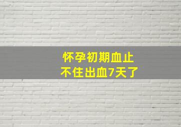 怀孕初期血止不住出血7天了