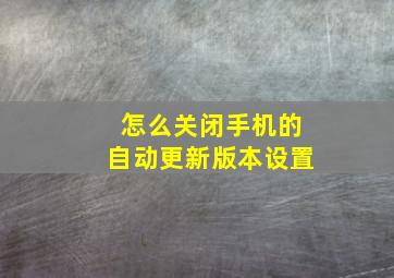 怎么关闭手机的自动更新版本设置