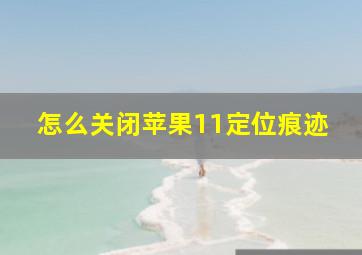 怎么关闭苹果11定位痕迹