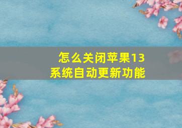 怎么关闭苹果13系统自动更新功能