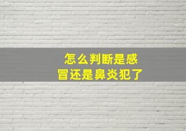 怎么判断是感冒还是鼻炎犯了