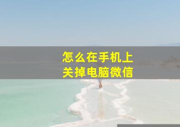 怎么在手机上关掉电脑微信