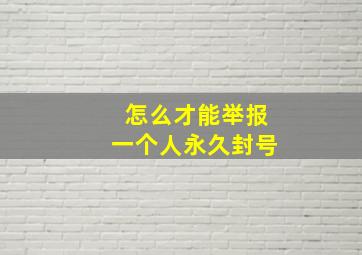 怎么才能举报一个人永久封号