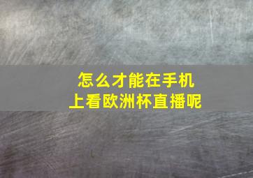 怎么才能在手机上看欧洲杯直播呢