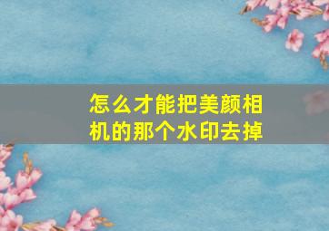 怎么才能把美颜相机的那个水印去掉