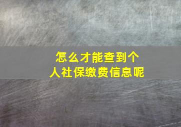 怎么才能查到个人社保缴费信息呢