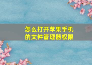 怎么打开苹果手机的文件管理器权限