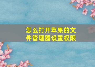 怎么打开苹果的文件管理器设置权限