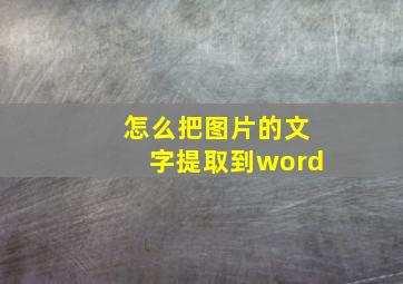 怎么把图片的文字提取到word