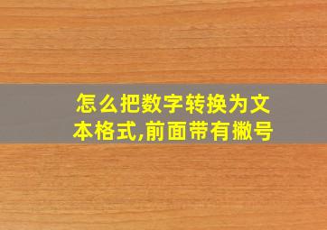 怎么把数字转换为文本格式,前面带有撇号