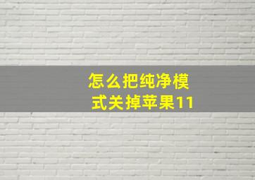 怎么把纯净模式关掉苹果11