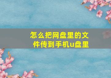 怎么把网盘里的文件传到手机u盘里