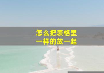 怎么把表格里一样的放一起