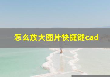 怎么放大图片快捷键cad