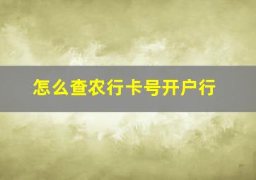 怎么查农行卡号开户行