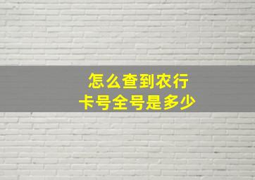 怎么查到农行卡号全号是多少